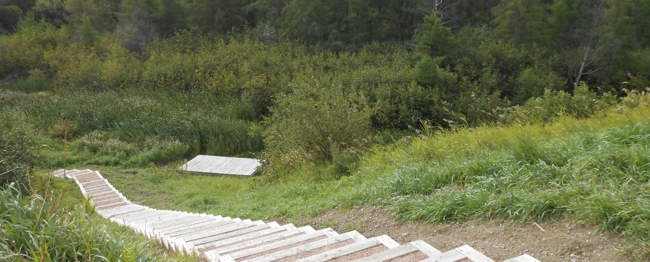 Aménagement au marais du Pré-Joli