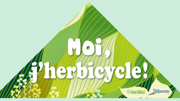 Triangle_Moi_Jherbicycle
