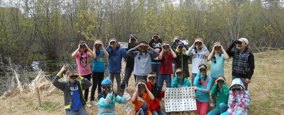 Activité d&rsquo;initiation à l&rsquo;ornithologie