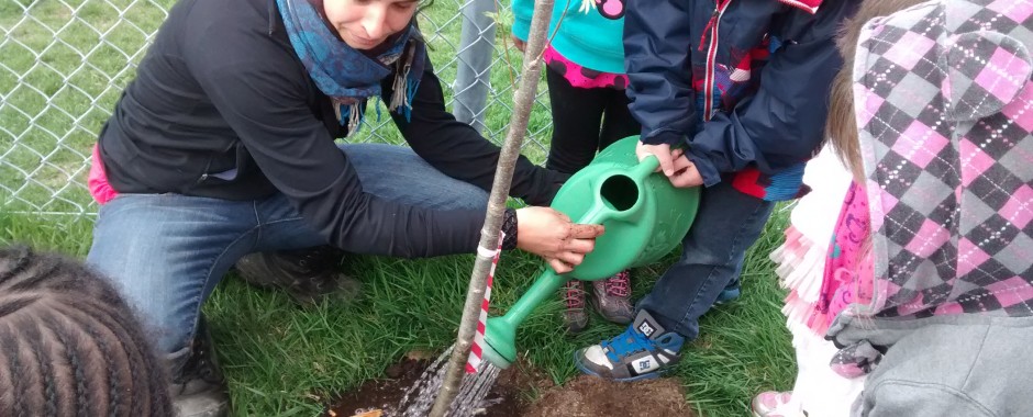 Activité de plantation avec des jeunes