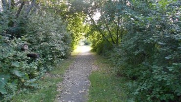 Parc_lineaire