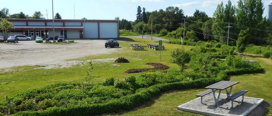 Forêt nourricière du quartier St-Paul